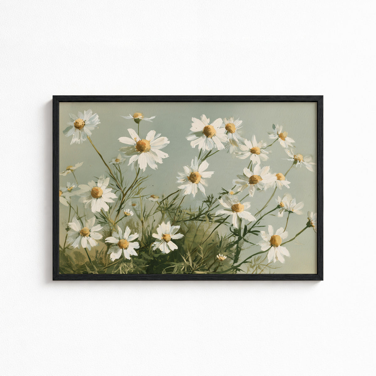 Wild Chamomile Drift