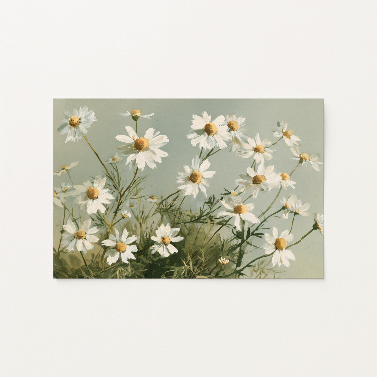 Wild Chamomile Drift