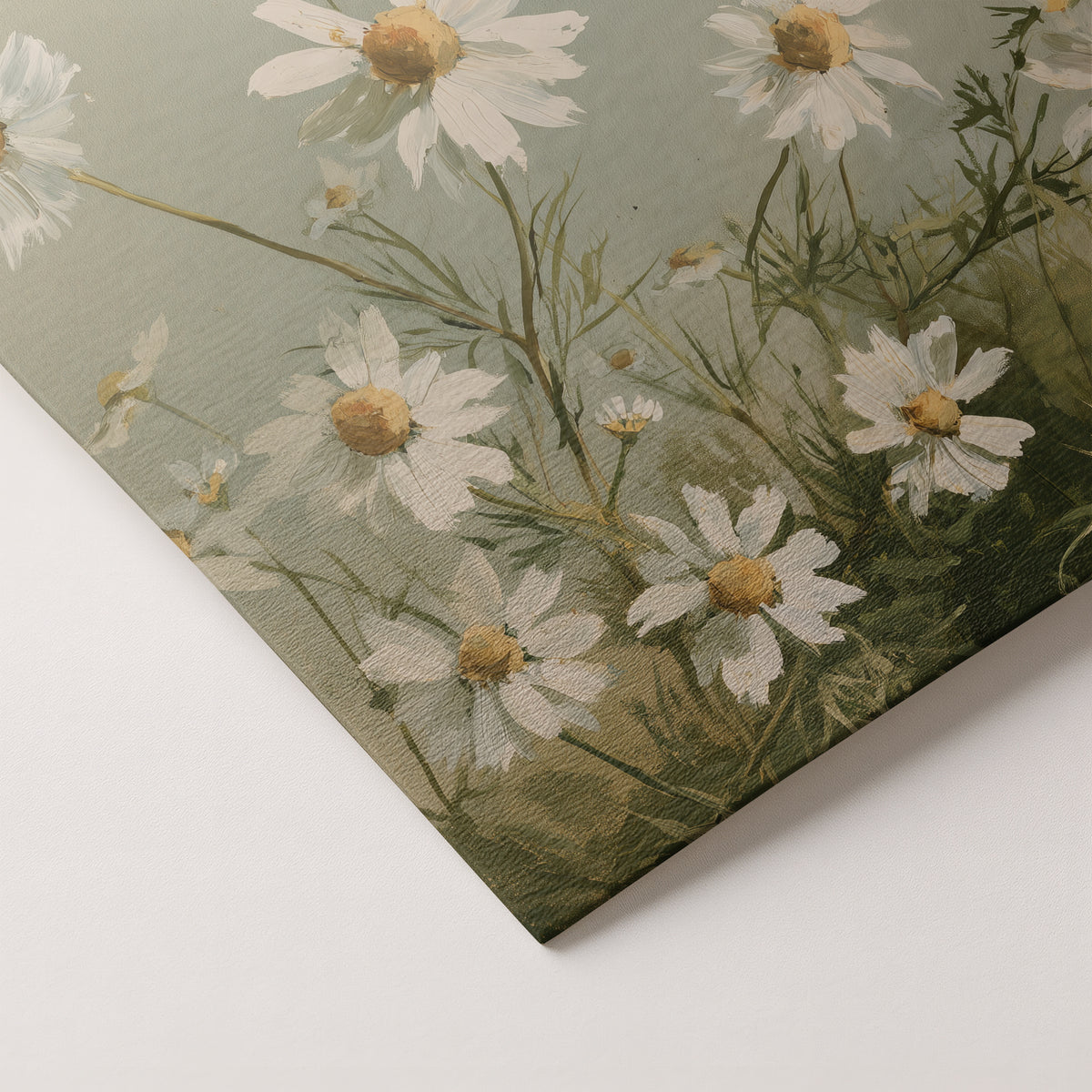 Wild Chamomile Drift